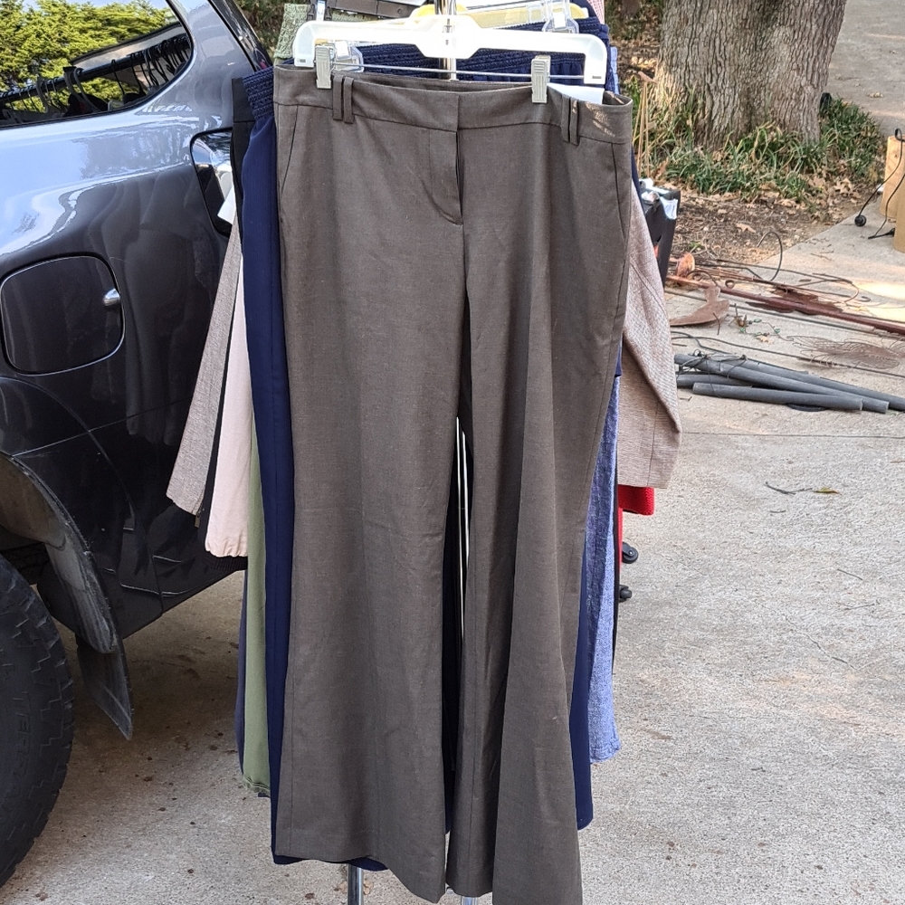Ann Taylor loft pants